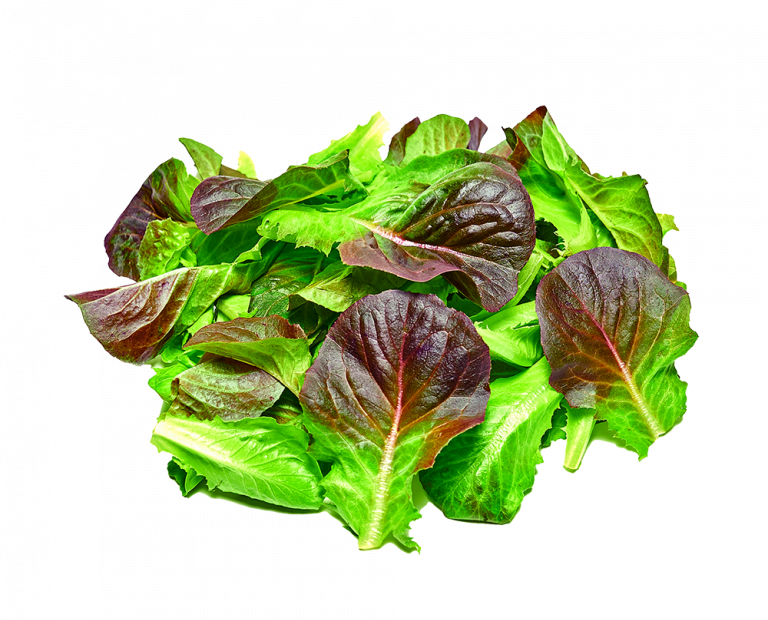Crystal Red Lettuce Pure Harvest